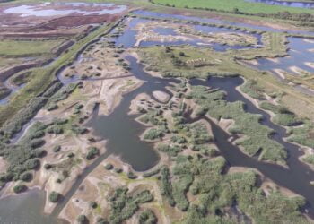 DPD supports RSPB with wetlands restoration project