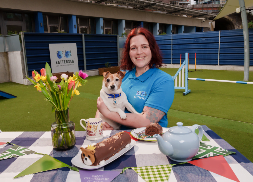 Battersea Dogs and Cats Home