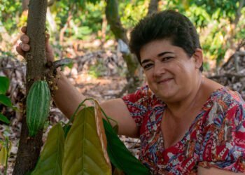 Luker Chocolate achieves B Corp status, in line with its longstanding commitment to sustainability