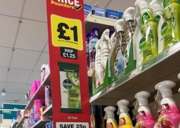 As inflation moderates, the £1 is back at Poundland