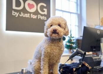 Just for Pets secures second site for dog-focused concept store