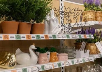 Major makeovers of 150 Poundland & Dealz stores begin this week