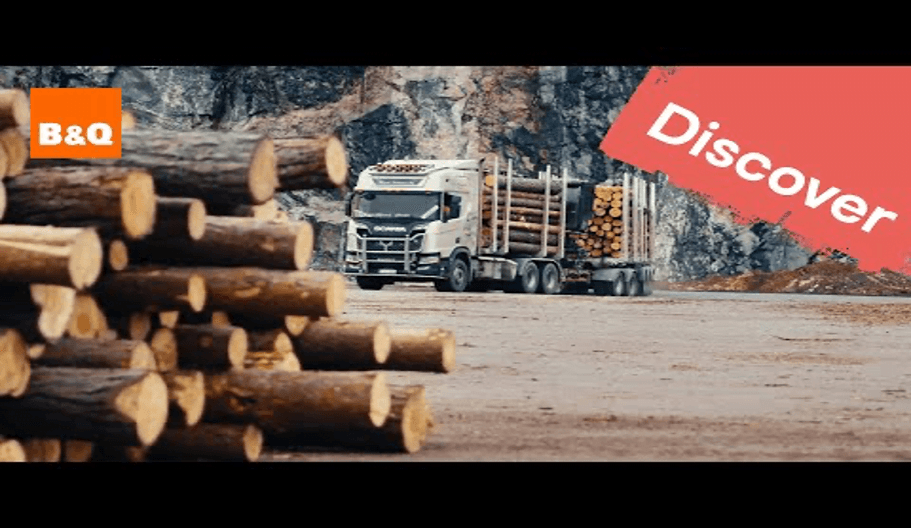 B&Q achieves 99.3% responsible sourcing of wood and paper products