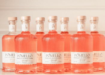 Pomello, the new apéritif, wins Gold at the World Drink Awards 2024