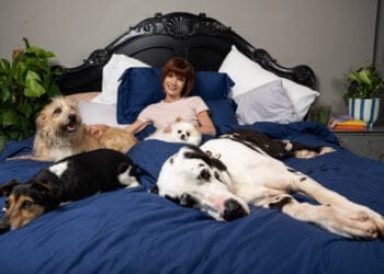 Uncloaked: Ecover airs the nation’s laundry and cleaning confessions with Diane Carson