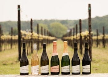 Majestic announces expansion of English wine range in partnership with Balfour Winery