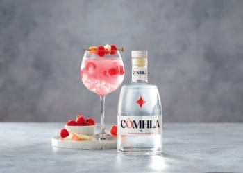 Aldi Scotland’s newest premium Scottish gins awarded a gold award at The Spirits Business Global Gin Masters 2024