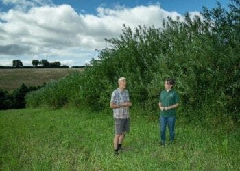 Sainsbury’s launches agroforestry initiative as it celebrates 20-year partnership with the Woodland Trust