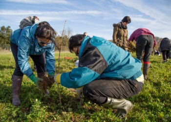 Nectar and Woodland Trust