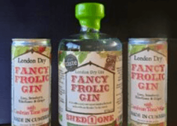 Shed One Distillery expands range with launch of ready to drink (RTD) G&T cans