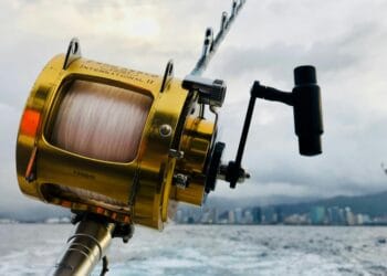 big fishing franchises