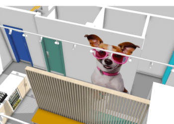 Snoots Vet’s innovative design approach revolutionises pet healthcare