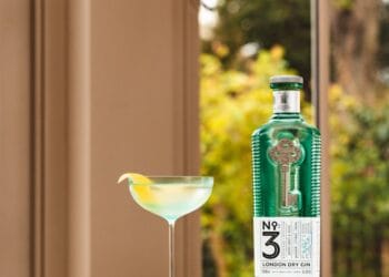 Raise your glass this World Gin Day with a classic No.3 London Dry Gin cocktail