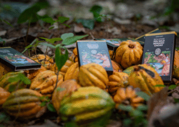 Wild Beniano Chocolate ba