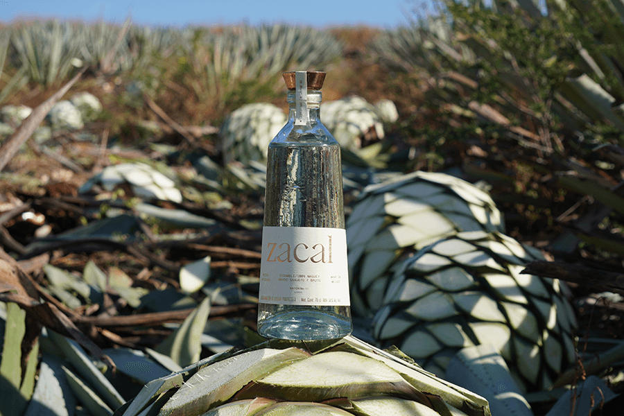 Zacal Mezcal