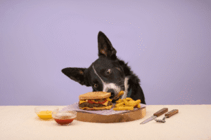 Wild Boar Burger for Dogs