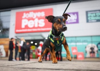Jollyes opening six stores in six weeks as it moves into five former Poundland sites 14 Jollyes
