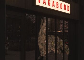Vagabond