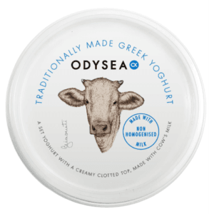 Odysea