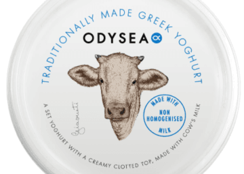 Odysea