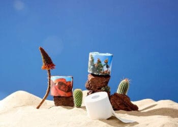 Who Gives A Crap transforms toilet paper into tribute with ‘The Earth Edition’ limited edition 8 Who Gives A Crap