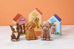 Aldi's chocolate pets