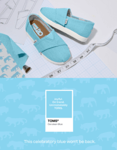  TOMS