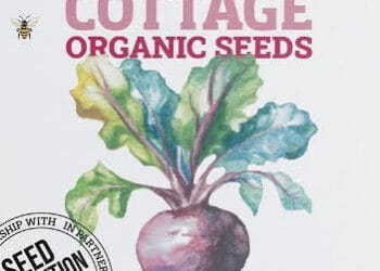 Seed Revolution announces partnership with River Cottage – it’s first ever range of organic vegetable seeds