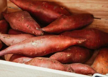 HelloFresh