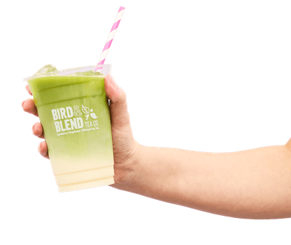 Bird & Blend Tea Co., celebrates World Matcha Day with iced matcha latte’s, worth £4.50, for every customer