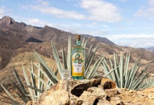 Del Suelo Espadín Mezcal
