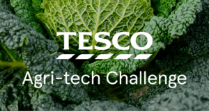 Tesco