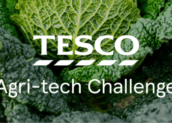 Tesco