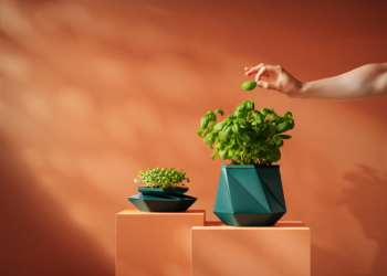 Scottish inventors unveil world-first plant pot that expands as plants grow