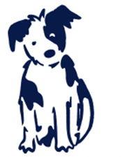 Purr & Meow brings ‘all breeds & needs’ philosophy to cats with major rebrand