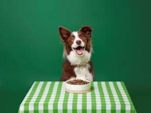 Pets at Home