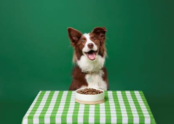 Pets at Home
