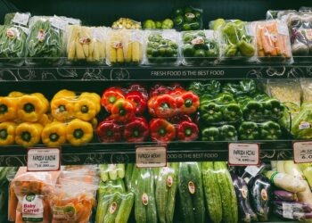 Retail Insight