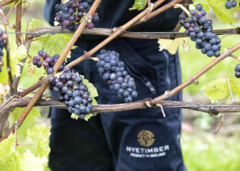 Nyetimber