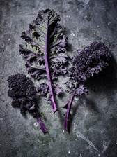 Tesco Finest Red Kale